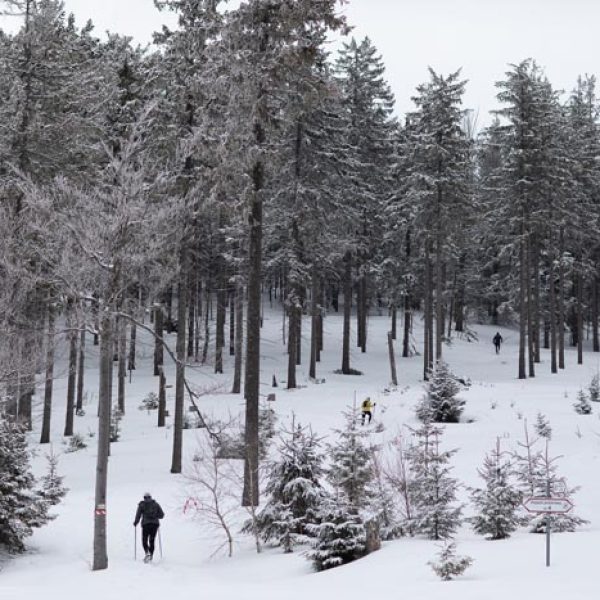 Beskid-Winter-Trail-2022-Katarzyna-Gogler-Fotografia (16)