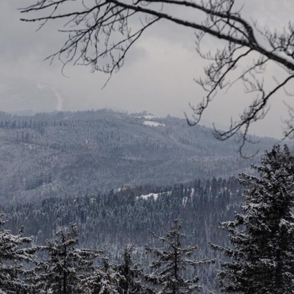 Beskid-Winter-Trail-2022-Katarzyna-Gogler-Fotografia (18)