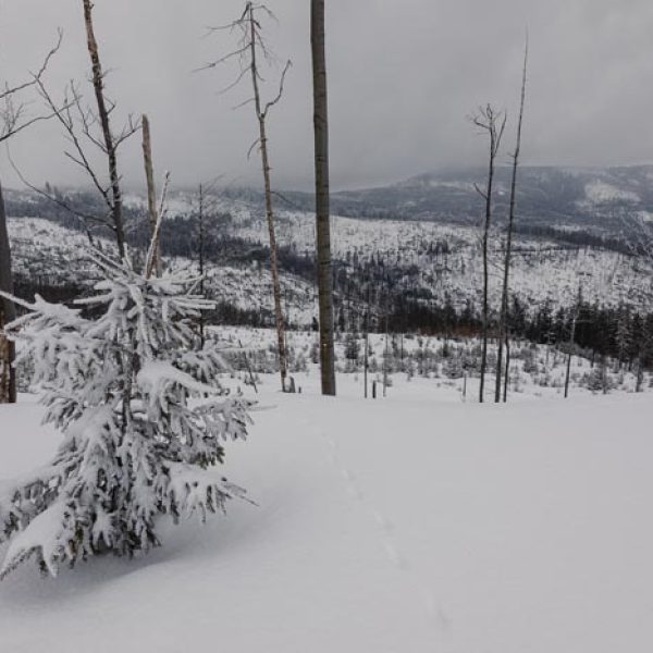 Beskid-Winter-Trail-2022-Katarzyna-Gogler-Fotografia (19)
