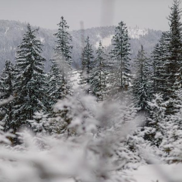 Beskid-Winter-Trail-2022-Katarzyna-Gogler-Fotografia (20)